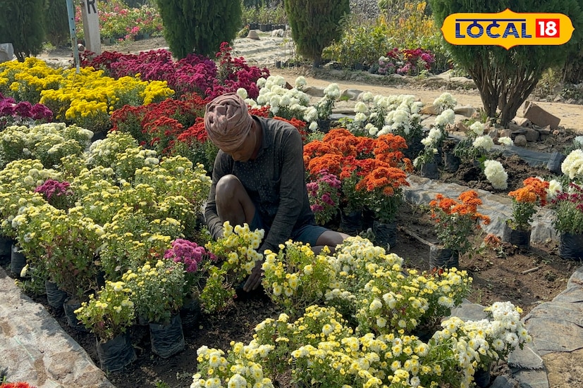 পূর্বস্থলীর নার্সারিগুলি ঘুরে দেখলে প্রায় সব ধরনের গাছই মিলবে। এখন এখানে বিভিন্ন প্রজাতির বিদেশি গাছের চারারও ব্যাপক চাহিদা। বিদেশি প্রজাতির গাছ কিনতে প্রতিদিনই ভিড় বেড়েই চলেছে। এক কথায় বললে, এই অঞ্চলের বহু মানুষের জীবিকা এখন পুরোপুরি নির্ভরশীল নার্সারি শিল্পের উপর। পাশাপাশি অনলাইন বিপণন আরও বাড়িয়ে দিচ্ছে বিক্রির পরিধি।তথ্য ও ছবি: বনোয়ারীলাল চৌধুরী