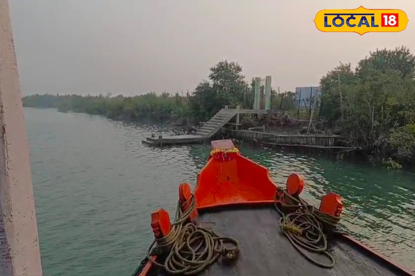 বড়দিন মানেই আলোয় ঝলমল পার্ক স্ট্রিট। কিন্তু এ'বছর বড়দিনে সুন্দরবনের বিভিন্ন পর্যটন কেন্দ্রগুলি সাজিয়ে তোলার পরিকল্পনা করা হয়েছে। সেজে উঠবে কৈখালীর সামনের রাস্তাও। বর্ষবরণের রাতে থাকছে বিশেষ আয়োজন। 