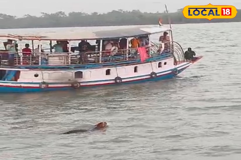র্যটনের সঙ্গে যুক্ত ব্যবসায়ীরা মনে করছেন, চলতি বছর পর্যটক উপচে পড়বে সুন্দরবনে। 