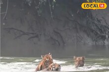 South 24 Parganas News:জমজমাট বর্ষবরণের অনুষ্ঠান, বড়দিনে সেজে উঠছে সুন্দরবনের কৈখালী পর্যটন কেন্দ্র 