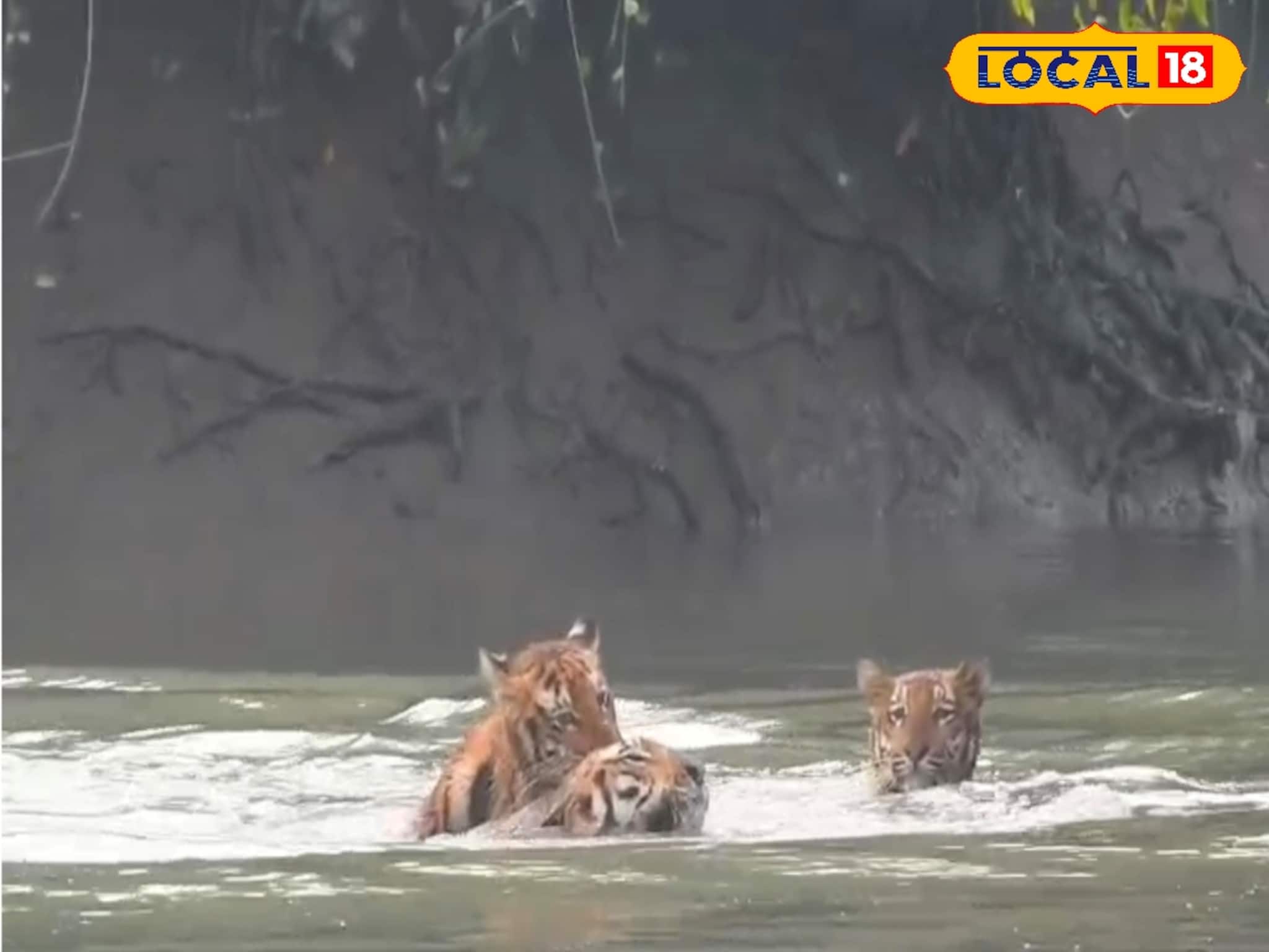 জমজমাট বর্ষবরণের অনুষ্ঠান, বড়দিনে সেজে উঠছে সুন্দরবনের কৈখালী পর্যটন কেন্দ্র জমজমাট বর্ষবরণের অনুষ্ঠান, বড়দিনে সেজে উঠছে সুন্দরবনের কৈখালী পর্যটন কেন্দ্র