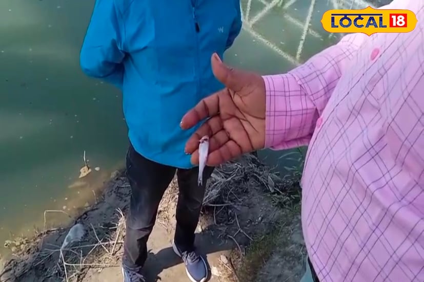 তিস্তা নদীতে আচমকা বিপুল পরিমাণ মৃত মাছ ভেসে উঠতে দেখে চাঞ্চল্য ছড়াল মরিচবাড়ি রেল সেতু সংলগ্ন এলাকায়। মঙ্গলবার ভোরে স্থানীয় বাসিন্দারা প্রথম নদীর ওপর ভেসে থাকা বোরলি, বোয়াল, আড়সহ একাধিক প্রজাতির নদীয়ালী মাছ দেখতে পান। এরপরই এলাকায় উত্তেজনা ছড়িয়ে পড়ে। (ছবি ও তথ্য - সুরজিৎ দে)