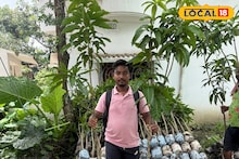 Success Story: নার্সারি থেকে ই-কমার্স, সারবিহীন ও রাসায়নিক মুক্ত ফল বিক্রি করে বড় ‘লক্ষ্মীলাভ’ শাহরুখের