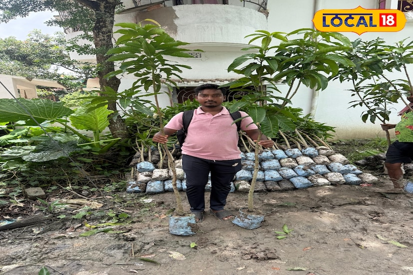 শাহরুখের বাগানে রয়েছে মাল্টা, কমলা, পেয়ারা, ড্রাগন, আঙুর, পেঁপে, খেজুর, মালভেরি, লেবু ও আমসহ প্রায় ২৫ থেকে ৩০ ধরনের ফল। সবচেয়ে বেশি মুগ্ধতা কাড়ছে উন্নত জাতের মাল্টা। পাশাপাশি রয়েছে বিদেশি প্রজাতির আমের গাছ—মিয়াজাকি, চিয়াংমাই, চাকাপাত, ব্ল্যাক স্টোন, রেড পালমারসহ বিরল জাতের আম। ফল গাছের পাশাপাশি চারাটিও পাওয়া যায় তার নার্সারিতে, যা ক্রমশ বড় হয়ে উঠছে।