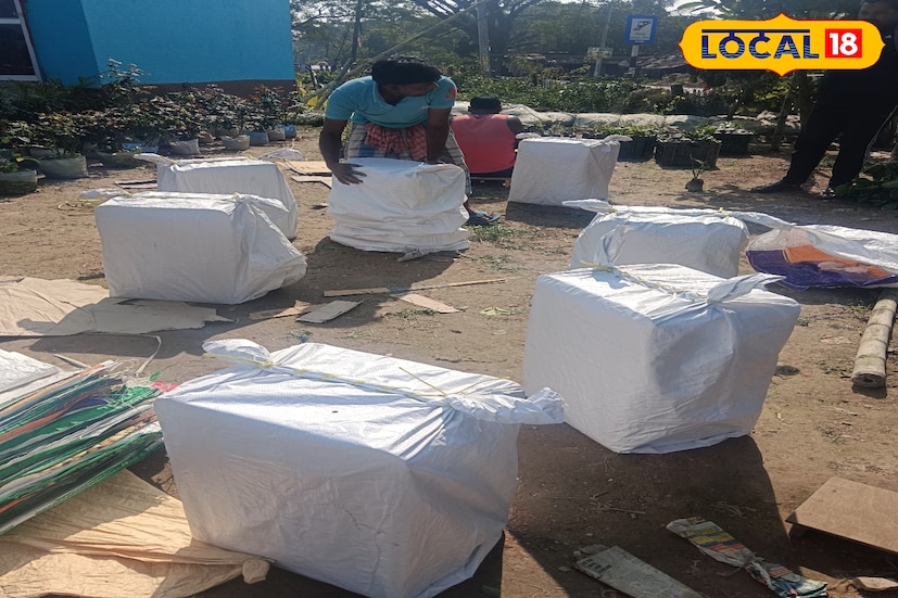 নতুন নতুন জাতের গাছ সংগ্রহ করার নেশা থেকেই শুরু। প্রথমে এক-দুটি গাছ নিয়ে চাষ শুরু করে তা যত্নে বড় করে তুলেছেন। সময়ের সঙ্গে সঙ্গে বাড়তে থাকে গাছের সংখ্যা। সেই ছোট বাগান আজ পরিণত হয়েছে কয়েক হাজার গাছে ভরা এক বিশাল নার্সারিতে। রাসায়নিকমুক্ত চাষে উৎপাদিত ফল ও গাছের চারার গুণমানের জন্যই ক্রেতারা আবার ফিরে আসেন।