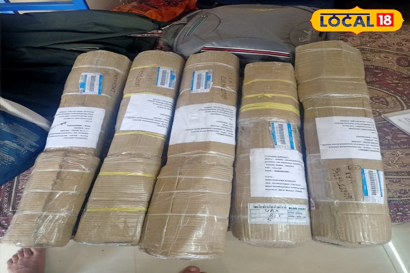 শুধু স্থানীয় বাজারেই নয়, শাহরুখ আজ অনলাইনে গাছ বিক্রির মাধ্যমে তৈরি করেছেন নতুন ব্যবসার পথ। সামাজিক মাধ্যমে নিয়মিত ভিডিও ও ছবি পোস্ট করেন। ফেসবুক, ইনস্টাগ্রামসহ বিভিন্ন সোশাল মিডিয়ায় তার বাগান, ফলের চারা ও যত্ন নেওয়ার পদ্ধতি দেখিয়ে মানুষের আগ্রহ বাড়িয়ে দেন। পাশাপাশি নিজস্ব ই-কমার্স সাইট ও ই-কমার্স প্ল্যাটফর্মে অর্ডার করে বাড়িতেই গাছ পৌঁছে যায়।