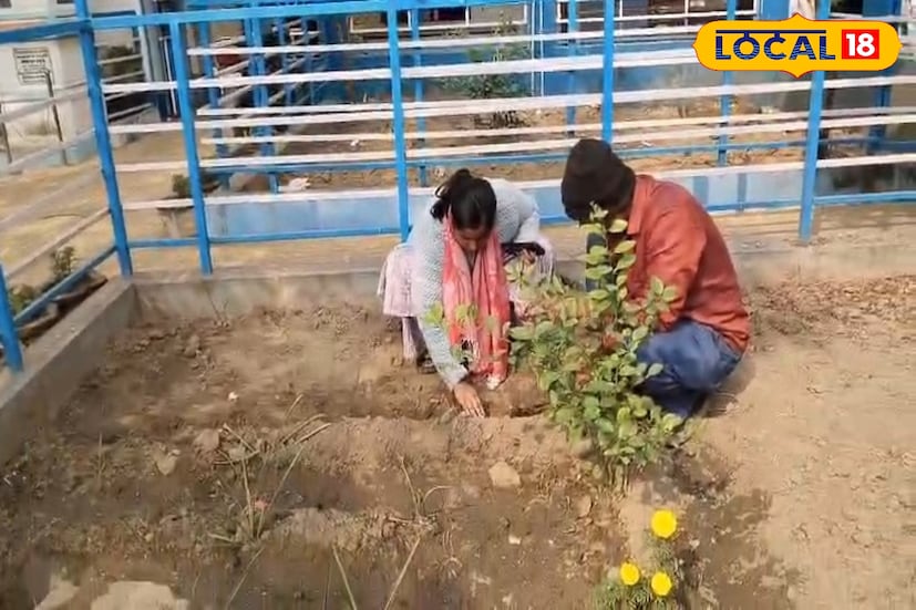 এই কিচেন গার্ডেনে উৎপাদিত শাক সবজি দিয়েই হবে মিড-ডে-মিলের রান্না। যেখানে লাগানো হয়েছে ফুলকপি, বেগুন, বাঁধাকপি, টমেটো, লঙ্কা সহ প্রায় ১২ রকমের শাক সবজির কাজ। তাহলে এখানে উৎপাদিত কীটনাশক মুক্ত শাকসবজি প্রতিদিন পাবে পড়ুয়ারা।