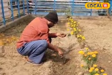 পুষ্টির সাতসতেরো জানবে পড়ুয়ারা, পাতে টাটকা শাক-সবজি! মিড-ডে-মিলের রসদ মিলবে স্কুলেই পুষ্টির সাতসতেরো জানবে পড়ুয়ারা, পাতে টাটকা শাক-সবজি! মিড-ডে-মিলের রসদ মিলবে স্কুলেই
