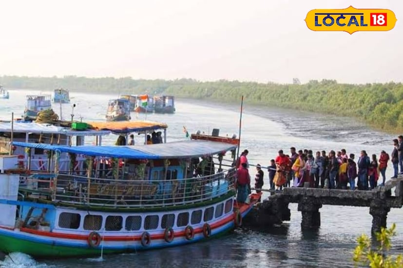 সুন্দরবনে সারা বছরই পর্যটকের আনাগোনা থাকে বিশেষ করে পঁচিশে ডিসেম্বর থেকে টানা এই শীতের মরশুমে সবচেয়ে বেশি পর্যটক আছে সুন্দরবনে আর এই বাস পরিষেবা চালু হতে কলকাতার ধর্মতলা থেকে একটি বাসায় পৌঁছে যাবে সুন্দরবন। যা পর্যটকদের কাছে এক নতুন দিগন্ত।