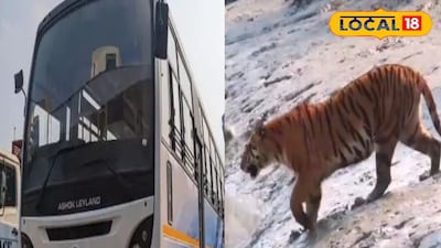 সুন্দরবনে বাস পরিষেবা