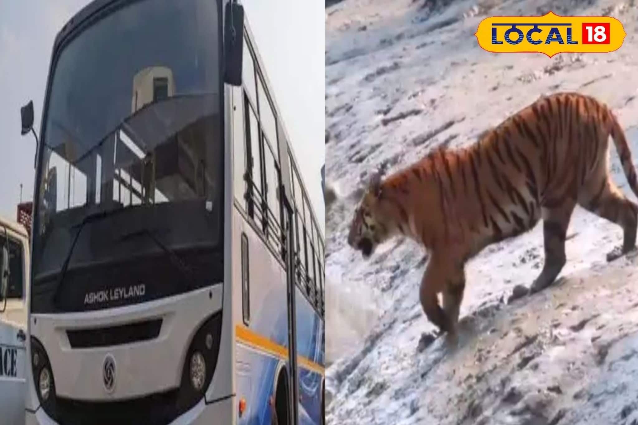 সুন্দরবন যাওয়া আরও সহজ! সস্তায় কলকাতা থেকে মইপিঠ এক বাসে, দেখে নিন ভাড়া-সময়সূচি-রুট