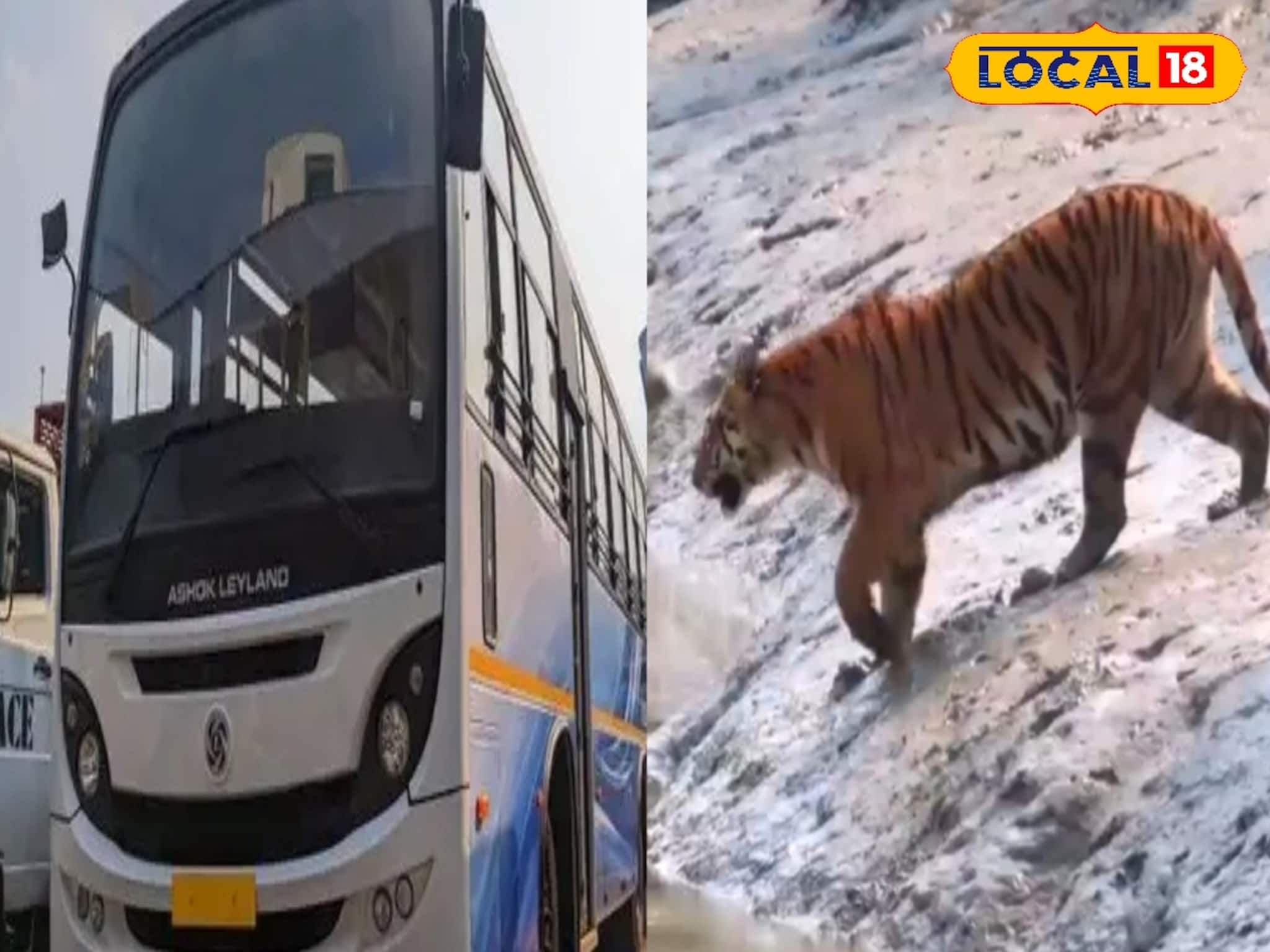 সুন্দরবন যাওয়া আরও সহজ! সস্তায় কলকাতা থেকে মইপিঠ এক বাসে, দেখে নিন ভাড়া-সময়সূচি-রুট