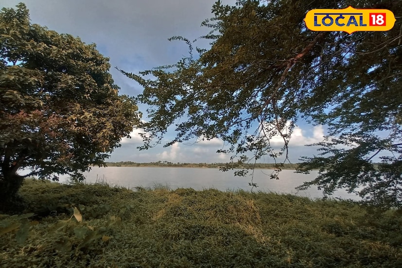 নদীর বুকে ভেসে থাকা এই সবুজে মোড়া চরটি প্রকৃতির অপার সৌন্দর্য ও নির্জনতায় পর্যটকদের মন জয় করছে। স্থানীয়দের মতে, সবুজ দ্বীপকে ‘পাখির দেশ’ বলাই যায় কারণ শীতের মৌসুমে বিভিন্ন প্রজাতির পাখিরা এখানে আশ্রয় নেয়, যা পাখিপ্রেমীদের কাছে দ্বীপটিকে আরও রহস্যময় ও আকর্ষণীয় করে তোলে।