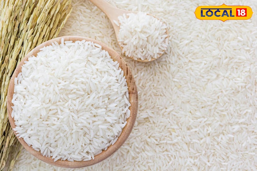 বারবার পালিশে এই চালের পুষ্টিগুণও নষ্ট হচ্ছে। ফলে দেখতে চকচকে লম্বা সরু চাল হলেও পুষ্টিগুণ থাকছে না। এদিকে সুন্দরবন এলাকায় রোদ, ঝড় বৃষ্টিতে সহনশীল ধান চাষ করতে চাইছে না অনেকে। 