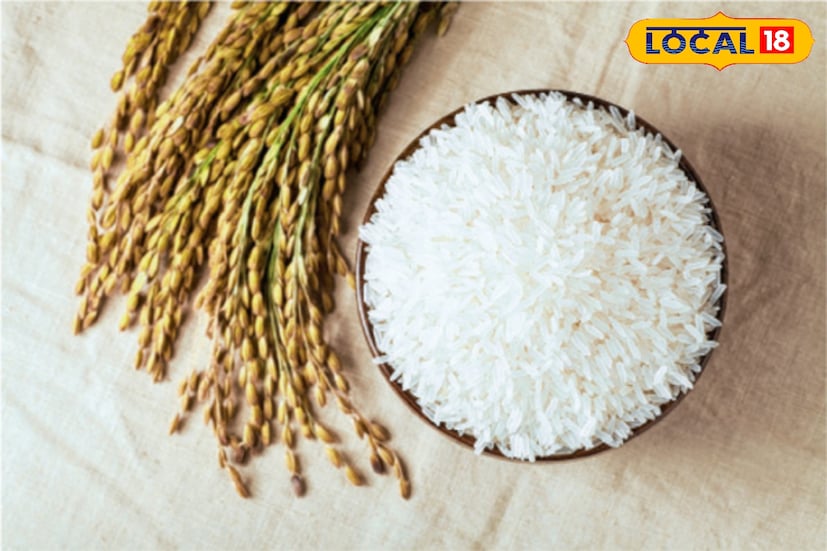 ফলে সরু চাল খেয়ে পুষ্টি মিলছে না। শরীরে জমছে শর্করা। এর থেকে সমাধানের উপায় হল চাল কেনার সময় একটু বাছাই করে কিনতে হবে। সারা বছর দুধ সাদা সরু ভাত না খেয়ে মাঝে মধ্যে মোটা লালচে চালও খেতে হবে। তাহলেই মিলবে সঠিক পুষ্টি। (ছবি ও তথ্য: নবাব মল্লিক) 