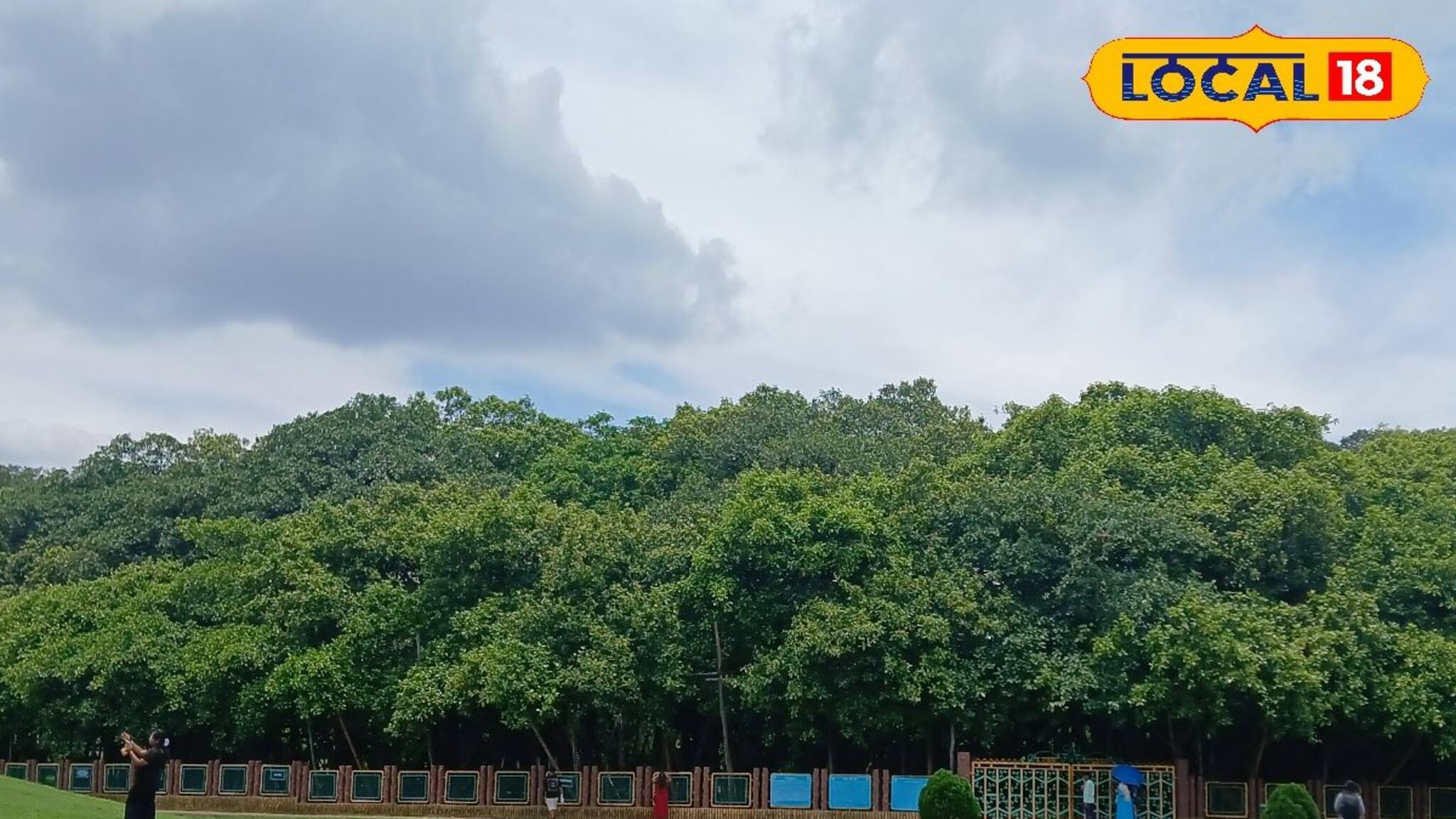 Botanical Garden: শীতের শুরুতেই পর্যটক দারুন ভিড় জমাচ্ছে বোটানিকাল গার্ডেনে!