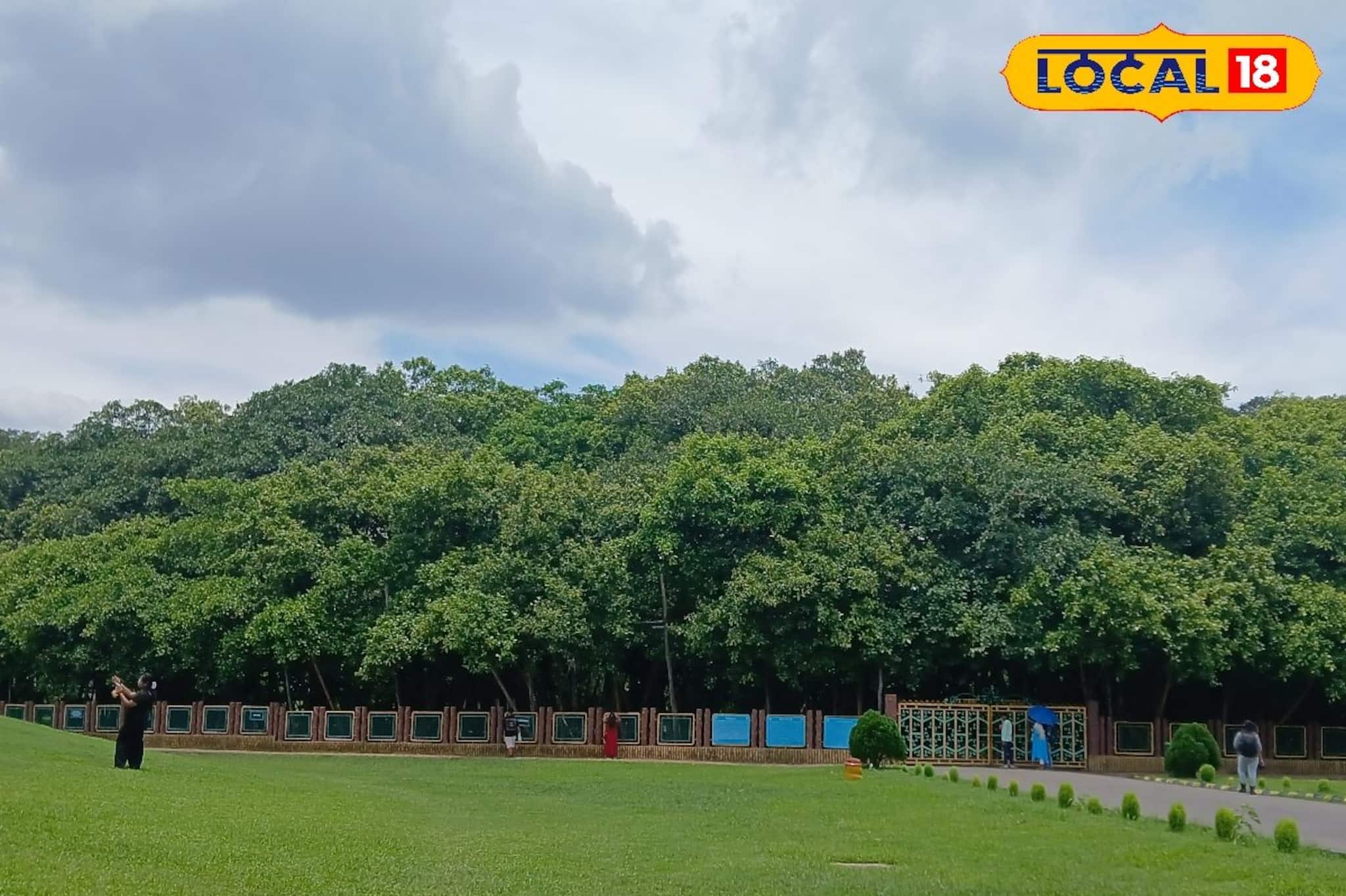 শীতের শুরুতেই পর্যটক দারুন ভিড় জমাচ্ছে বোটানিকাল গার্ডেনে! শীতের শুরুতেই পর্যটক দারুন ভিড় জমাচ্ছে বোটানিকাল গার্ডেনে!