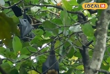 West Medinipur Tourism: শীতের দুপুরে একটু রোমাঞ্চ আর ইতিহাসের গন্ধ একসঙ্গে পেতে চান? একবার ঘুরে আসুন 'এই' জায়গায়