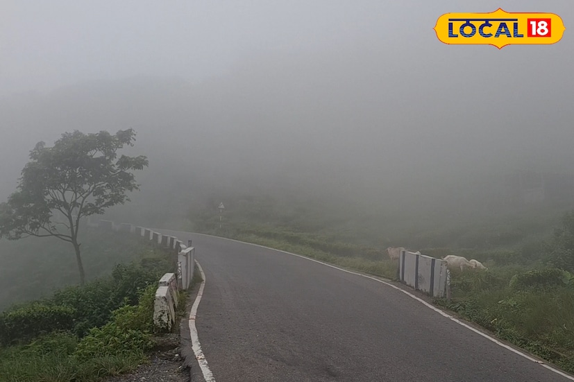 শিলিগুড়ি, ঋত্বিক ভট্টাচার্য : উত্তরবঙ্গের বেশ কয়েকটি জেলায় আগামী ২৪ ঘণ্টায় শুষ্ক আবহাওয়া বজায় থাকবে বলে জানিয়েছে আবহাওয়া দফতর। দার্জিলিং, জলপাইগুড়ি, আলিপুরদুয়ার, কোচবিহার, কালিম্পং থেকে শুরু করে মালদহ ও দিনাজপুরের দুই জেলার আকাশ বেশিরভাগ সময়ই পরিষ্কার থাকবে। তবে শীতের শুষ্ক পরিবেশের মধ্যেই কিছু জেলায় কুয়াশা বাড়াতে পারে দৃষ্টিসীমা–এমনই পূর্বাভাস। শিলিগুড়ি, ঋত্বিক ভট্টাচার্য : উত্তরবঙ্গের বেশ কয়েকটি জেলায় আগামী ২৪ ঘণ্টায় শুষ্ক আবহাওয়া বজায় থাকবে বলে জানিয়েছে আবহাওয়া দফতর। দার্জিলিং, জলপাইগুড়ি, আলিপুরদুয়ার, কোচবিহার, কালিম্পং থেকে শুরু করে মালদহ ও দিনাজপুরের দুই জেলার আকাশ বেশিরভাগ সময়ই পরিষ্কার থাকবে। তবে শীতের শুষ্ক পরিবেশের মধ্যেই কিছু জেলায় কুয়াশা বাড়াতে পারে দৃষ্টিসীমা–এমনই পূর্বাভাস।