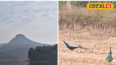 অফবিট পর্যটন কেন্দ্র হিসেবে জনপ্রিয়  নরাহারা