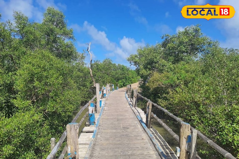 দ্বীপটিতে রয়েছে ম্যানগ্রোভের জঙ্গল। সি বিচে লাল কাঁকড়ার আনাগোনা। এই দ্বীপের সার্ভের দায়িত্ব পড়েছিল স্যার হেনরি সাহেবের উপর। তার পর থেকেই এই দ্বীপের নাম হেনরি আইল্যান্ড।