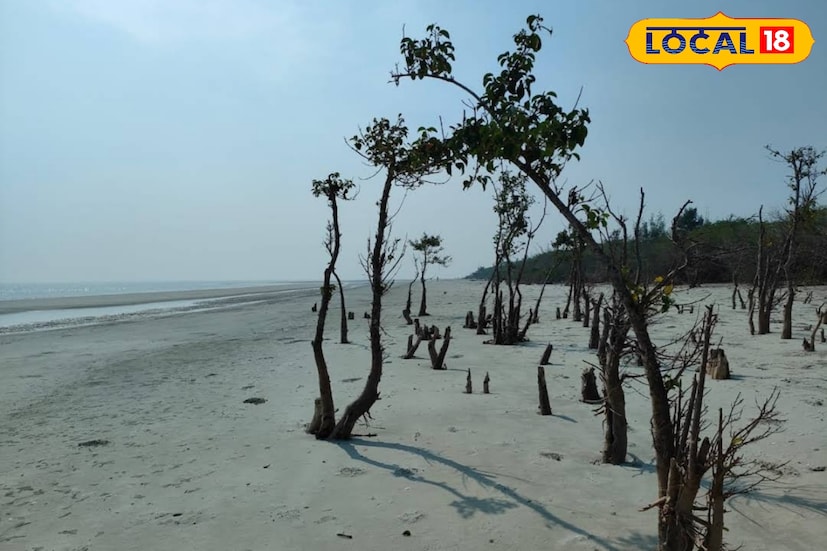 এই শীতে সঙ্গিনীর সঙ্গে একান্তে সময় ঘুরে আসুন হেনরি আইল্যান্ড। ছবির মত সুন্দর এই দ্বীপ আপনার মন ভোলাতে বাধ্য। হেনরি আইল্যান্ড, ম্যানগ্রোভ ঘেরা একটি সবুজ দ্বীপ। যার প্রান্ত ছুঁয়েছে বঙ্গোপসাগরে। (ছবি ও তথ্য: নবাব মল্লিক) এই শীতে সঙ্গিনীর সঙ্গে একান্তে সময় ঘুরে আসুন হেনরি আইল্যান্ড। ছবির মত সুন্দর এই দ্বীপ আপনার মন ভোলাতে বাধ্য। হেনরি আইল্যান্ড, ম্যানগ্রোভ ঘেরা একটি সবুজ দ্বীপ। যার প্রান্ত ছুঁয়েছে বঙ্গোপসাগরে। (ছবি ও তথ্য: নবাব মল্লিক)