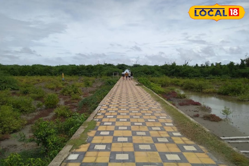 ভোরবেলা সূর্যোদয় দেখার জন্য এই দ্বীপ উপযুক্ত। হেনরি আইল্যান্ডে প্রবেশ মূল্য ১০ টাকা। মৎস্য দফতরের অধীনে এই দ্বীপে মাছ চাষের জন্য রয়েছে অনেকগুলি ফিশারি। এছাড়াও সেখানে রয়েছে দুটি ট্যুরিস্ট লজ।