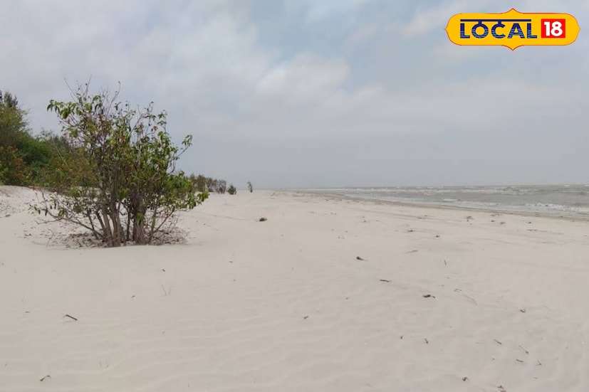 বর্তমানে হেনরি আইল্যান্ডে গেলে দেখতে পাওয়া যায় অবজারভেটরি, পিকনিক স্পট, ম্যানগ্রোভ, ভেটকি প্রকল্প, ট্যাংরা প্রকল্প, বাগদা প্রকল্প, হেনরি লেক, সুন্দরবন অরণ্য ভূমি, গলদা প্রকল্প।