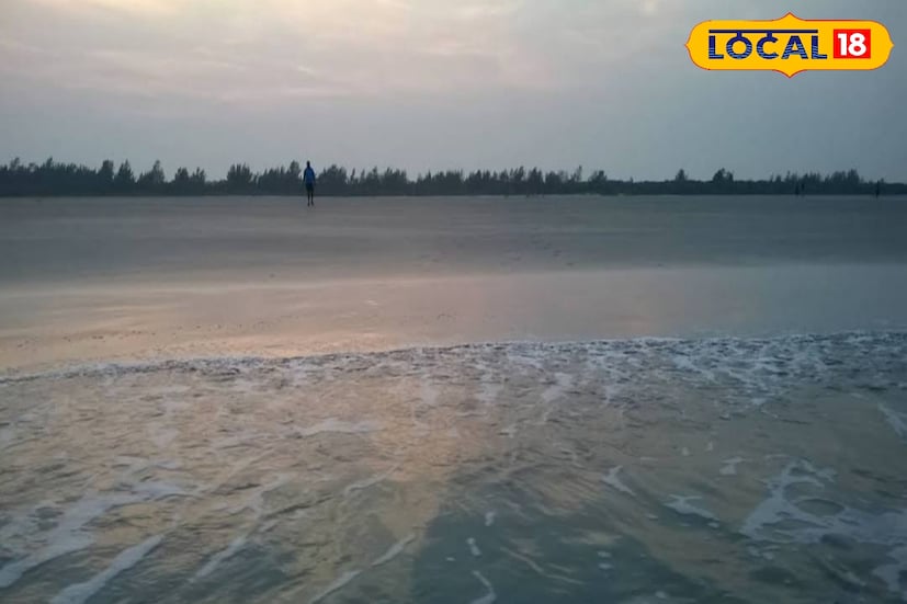 বকখালিতে যাওয়া অধিকাংশ পর্যটক এই দ্বীপে ঘুরতে যান। এই দ্বীপ সমুদ্রপ্রেমী পর্যটকদের কাছে এই দ্বীপ স্বপ্নজগৎ। বকখালিতে যে আনন্দ পাওয়া যায়না, হেনরি আইল্যান্ডে তা পাওয়া যায়।