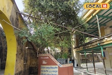 Nabadwip Shrivas Angan: ভক্তি-মাহাত্ম্য-ঐতিহ্য মিলেমিশে একাকার, নবদ্বীপের শ্রীবাস অঙ্গনে মহাপ্রভুর রোপণ করা কুলগাছ দর্শন অগণিত ভক্তের