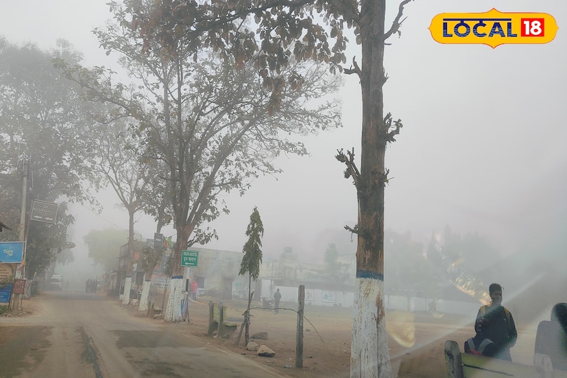*কনকনে শীতের আমেজ রয়েছে দক্ষিণের জেলাগুলিতে। শীতের পাশাপাশি কুয়াশার প্রভাব দেখা যাবে বেশ কিছু জায়গায়। ‌হুগলি, উত্তর ২৪ পরগনা, দক্ষিণ ২৪ পরগনা, পূর্ব মেদিনীপুর, পশ্চিম মেদিনীপুর, ঝাড়গ্রাম, পুরুলিয়া, বাঁকুড়া, পূর্ব বর্ধমান, পশ্চিম বর্ধমান, বীরভূম, মুর্শিদাবাদ এবং নদিয়া-সহ সব জেলাতেই কম-বেশি কুয়াশা থাকবে। রোদের দাপট কম থাকবে।