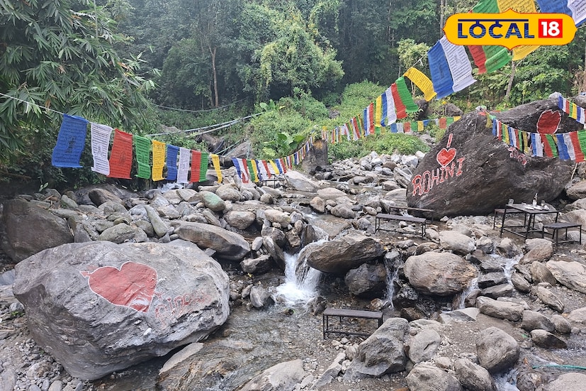 *শিলিগুড়ি, ঋত্বিক ভট্টাচার্য: শিলিগুড়ি থেকে খুব দূরে নয়, মাত্র ৩০ কিলোমিটার পথ। পাহাড়ে যেতে চাইলেও খুব উঁচু বা দুর্গম জায়গায় নয়—শহরের কাছেই একটু নিরিবিলি ঠাঁই খুঁজছেন? এই খোঁজের একদম নিখুঁত জায়গা হয়ে উঠেছে রোহিনির রোহিনি রিভারসাইড ক্যাফে। ব্যস্ততার ভিড় থেকে পালিয়ে শ্বাস নেওয়ার সুযোগ এনে দেয় এই ছোট, অথচ চমৎকার ক্যাফেটি। *শিলিগুড়ি, ঋত্বিক ভট্টাচার্য: শিলিগুড়ি থেকে খুব দূরে নয়, মাত্র ৩০ কিলোমিটার পথ। পাহাড়ে যেতে চাইলেও খুব উঁচু বা দুর্গম জায়গায় নয়—শহরের কাছেই একটু নিরিবিলি ঠাঁই খুঁজছেন? এই খোঁজের একদম নিখুঁত জায়গা হয়ে উঠেছে রোহিনির রোহিনি রিভারসাইড ক্যাফে। ব্যস্ততার ভিড় থেকে পালিয়ে শ্বাস নেওয়ার সুযোগ এনে দেয় এই ছোট, অথচ চমৎকার ক্যাফেটি।