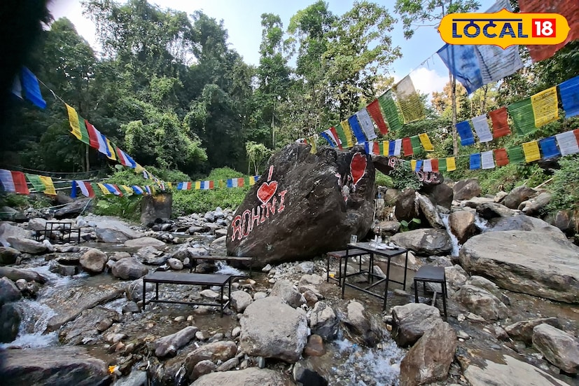 *সমতল আর পাহাড়ের মাঝামাঝি অবস্থানে দাঁড়ানো এই ক্যাফের আসল মোহ তার অবস্থান। ক্যাফেটির ঠিক পাশেই নেমে এসেছে ঝরনা—স্বচ্ছ জলের ধারা আর হালকা গর্জনের সুর যেন মুহূর্তে মন ভরিয়ে দেয়। পাহাড় না চড়েই যে পাহাড়ি আবহ উপভোগ করা যায়, রোহিনি সেটারই আদর্শ উদাহরণ।