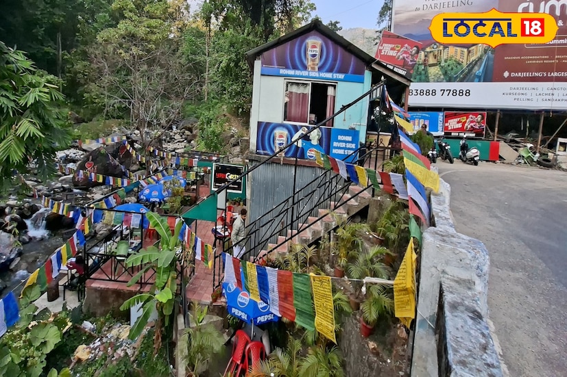 *খাবারের দিক থেকেও ক্যাফেটি পর্যটক আর স্থানীয়দের মন জয় করে নিয়েছে। পাহাড়ি মোমো, থুকপা এখানে বিশেষ জনপ্রিয়। যারা একটু বেশি ভারী খাবার খুঁজছেন, তাদের জন্য রয়েছে ফ্রাইড রাইস, চিলি চিকেন থেকে শুরু করে আরও নানা পদ। দামও তুলনামূলকভাবে সাধ্যের মধ্যেই, ফলে পরিবার বা বন্ধুদের নিয়ে আরাম করে সময় কাটাতে অসুবিধে হয় না।