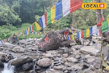 Darjeeling Famous Cafe: স্রোতের শব্দে গ্লাসের টুং, ঝর্নার ধারে সুরাপান! রোহিনির 'এই' ক্যাফে এখন পাহাড়ের 'হটস্পট'