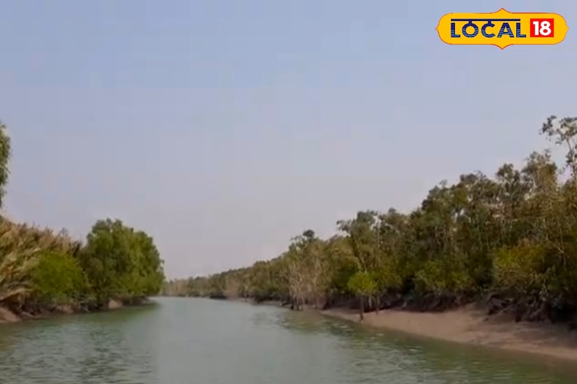 সুন্দরবন, প্রশস্ত বনভূমি যা বিশ্বের প্রাকৃতিক বিস্ময়াবলীর অন্যতম। সমুদ্র উপকূলবর্তী নোনা পরিবেশের সবচেয়ে বড় ম্যানগ্রোভ বন হিসেবে সুন্দরবন বিশ্বের সর্ববৃহৎ অখণ্ড বনভূমি। আজ সুন্দরবন দিবস, ভালবাসা দিবসে ভালবাসুন সুন্দরবনকে। (তথ্য ও ছবি: সুমন সাহা)