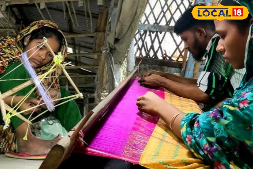 মুর্শিদাবাদ জেলাঞ্চলে যে এক ধরণের রেশমি বস্ত্রশিল্প বিদ্যমান ছিল তা নাকি  প্রথম জানা যায় কৌটিল্যের ‘অর্থশাস্ত্র’ বইটির কিছু টিকা থেকে। বোঝা যায় মুর্শিদাবাদ জেলাঞ্চলে রেশম শিল্পের উদ্ভব ঘটেছিল খ্রিস্টপূর্ববর্তী সপ্তম শতক থেকে খ্রিস্টপূর্ববর্তী তৃতীয় শতকের মধ্যবর্তী কোনও সময়ে। মোঘল আমলে মুর্শিদাবাদ সিল্কের নিজস্ব পরিচয় গড়ে ওঠে।