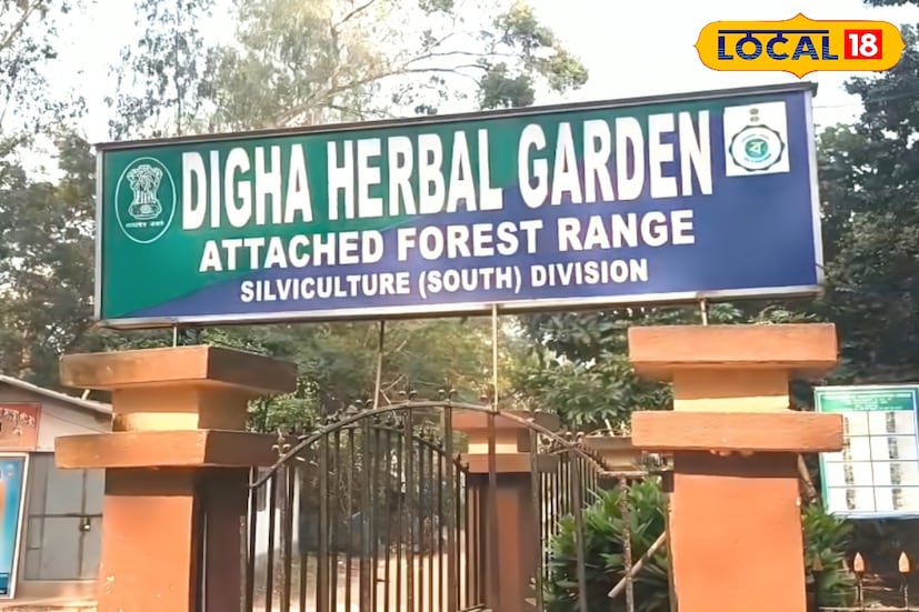 দিঘায় তো বহুবার এসেছেন, জগন্নাথ মন্দিরে পুজোও দিয়েছেন। কিন্তু দিঘার আড়ালে থাকা এই ভেষজ উদ্যানটি অনেকেরই নজর এড়িয়ে যায়। পুরোনো জগন্নাথ মন্দির বা মাসির বাড়ি যাওয়ার রাস্তার উল্টো দিকে কিছুটা এগোলে চোখে পড়ে দিঘার হার্বাল গার্ডেন, চারপাশ শান্ত। আর গার্ডেনের সবুজ পরিবেশ আপনার মন জয় করবে। ভেতরে ঢোকার পর মনে হয়, যেন অন্য এক জগতে চলে এসেছেন। (তথ্য ও ছবি : মদন মাইতি) দিঘায় তো বহুবার এসেছেন, জগন্নাথ মন্দিরে পুজোও দিয়েছেন। কিন্তু দিঘার আড়ালে থাকা এই ভেষজ উদ্যানটি অনেকেরই নজর এড়িয়ে যায়। পুরোনো জগন্নাথ মন্দির বা মাসির বাড়ি যাওয়ার রাস্তার উল্টো দিকে কিছুটা এগোলে চোখে পড়ে দিঘার হার্বাল গার্ডেন, চারপাশ শান্ত। আর গার্ডেনের সবুজ পরিবেশ আপনার মন জয় করবে। ভেতরে ঢোকার পর মনে হয়, যেন অন্য এক জগতে চলে এসেছেন। (তথ্য ও ছবি : মদন মাইতি)
