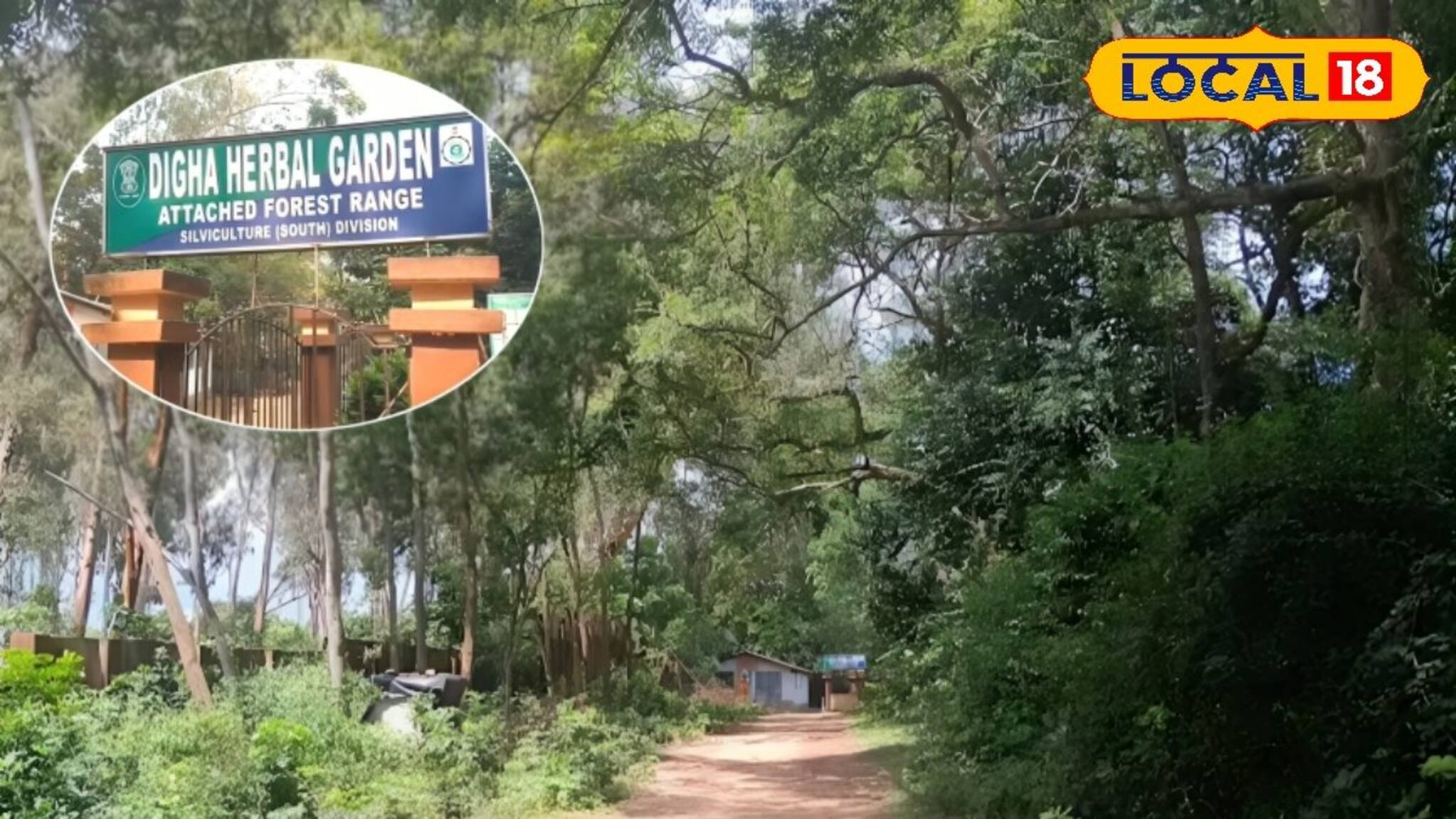 দিঘা তো বহুবার এসেছেন! কিন্তু জগন্নাথ মন্দিররের আড়ালে এই বাগানটি দেখেছেন? মুগ্ধ হবেন