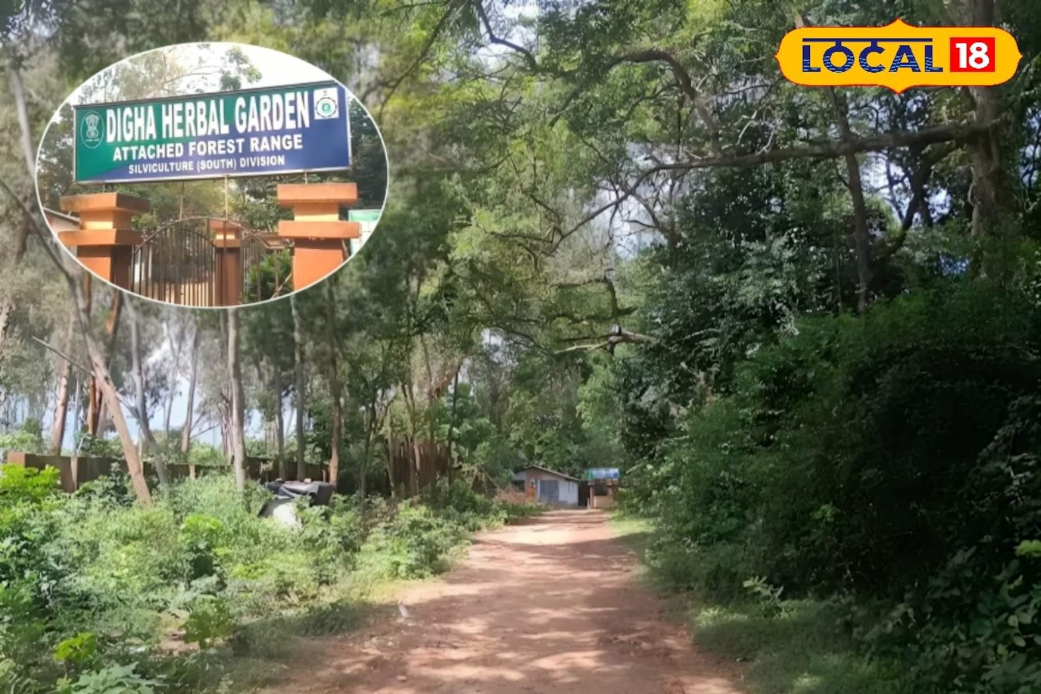 দিঘা তো বহুবার এসেছেন! কিন্তু জগন্নাথ মন্দিররের আড়ালে এই বাগানটি দেখেছেন? মুগ্ধ হবেন দিঘা তো বহুবার এসেছেন! কিন্তু জগন্নাথ মন্দিররের আড়ালে এই বাগানটি দেখেছেন? মুগ্ধ হবেন