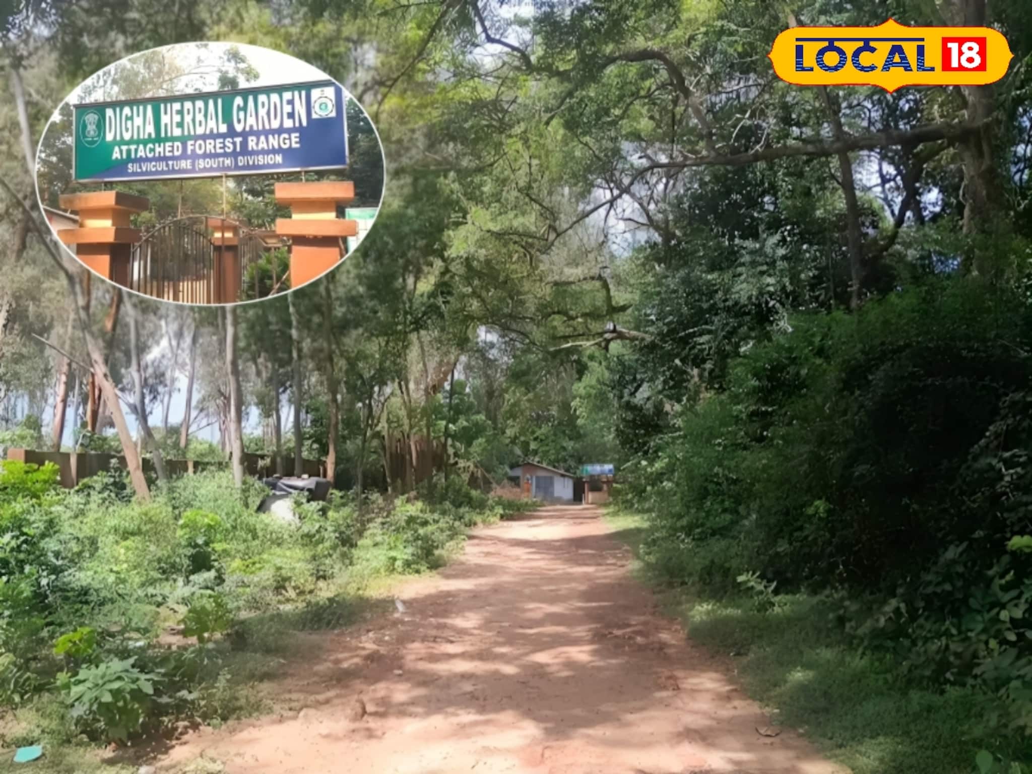 দিঘা তো বহুবার এসেছেন! কিন্তু জগন্নাথ মন্দিররের আড়ালে এই বাগানটি দেখেছেন? মুগ্ধ হবেন দিঘা তো বহুবার এসেছেন! কিন্তু জগন্নাথ মন্দিররের আড়ালে এই বাগানটি দেখেছেন? মুগ্ধ হবেন