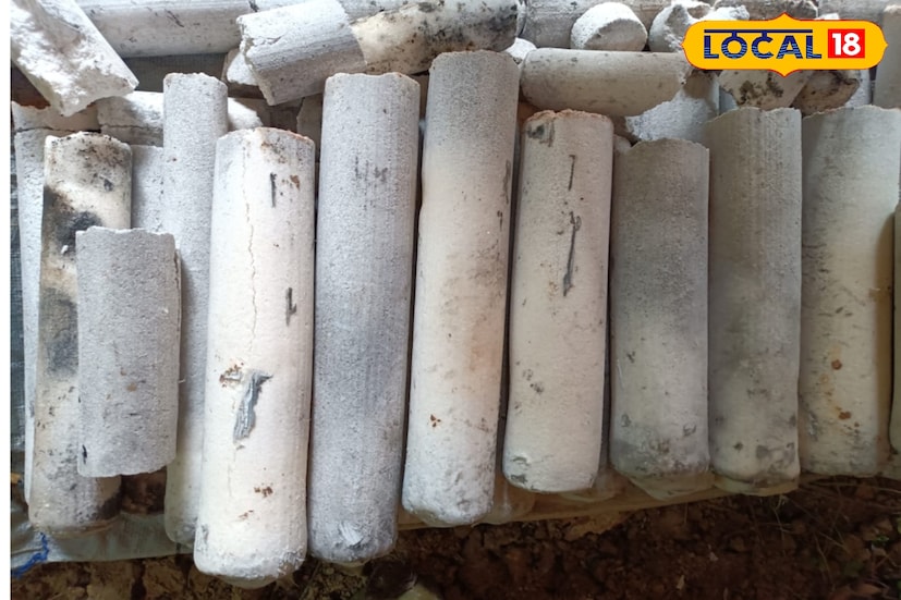 বাম্বু সল্ট তৈরি করে কর্মসংস্থানের দিসা দেখাচ্ছেন জয়নগরের এক যুবক। একদিকে যেমন বাঁশ দিয়ে লবণের স্বাস্থ্যের উপকারিতা ঠিক তেমনি এক নতুন কর্মসংস্থানের নতুন অধ্যায়। মূলত এই দক্ষিণ ২৪ পরগনা এই প্রথমবার নিমপিটে তৈরি হচ্ছে এই বাম্বু সল্ট। (তথ্য ছবি সুমন সাহা) বাম্বু সল্ট তৈরি করে কর্মসংস্থানের দিসা দেখাচ্ছেন জয়নগরের এক যুবক। একদিকে যেমন বাঁশ দিয়ে লবণের স্বাস্থ্যের উপকারিতা ঠিক তেমনি এক নতুন কর্মসংস্থানের নতুন অধ্যায়। মূলত এই দক্ষিণ ২৪ পরগনা এই প্রথমবার নিমপিটে তৈরি হচ্ছে এই বাম্বু সল্ট। (তথ্য ছবি সুমন সাহা)