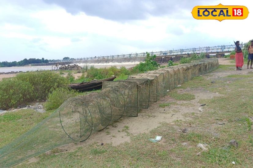 কী এই চায়না জাল! কেনইবা নিষিদ্ধ করা হয়েছে? চায়না জালের ফাঁদ এতটাই ছোট, যে বড় মাছের পাশাপাশি সব বয়সের মাছের পোনা ও ডিমসহ অন্যান্য জলজ প্রাণী সহজেই ধরা পড়ে যায়।ফলে জলজ বাস্তুতন্ত্রের ভারসাম্য নষ্ট করে।কারণ এতে ছোট-বড় সব ধরনের প্রাণী আটকে পড়ে। যা দীর্ঘমেয়াদে দেশীয় মাছের প্রজাতিকে বিলুপ্তির দিকে ঠেলে দিচ্ছে বলে দাবি মৎস্য বিশেষজ্ঞদের।( ছবি ও তথ্য : দীপিকা সরকার)