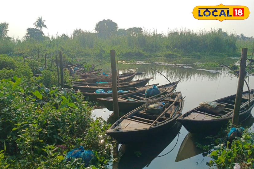 মৎস্যজীবী কৃষ্ণ সরকার জানান, বেশকিছু মৎস্যজীবী অসৎপথে মাছ শিকার করছে৷ তারা চায়না দুয়ারি জাল ও মশারি জাল ব্যবহার করে মাছ ধরে। ফলে মাছের চারা মরে যাচ্ছে। আমরাও চাই এই জাল ব্যবহার বন্ধ হোক।আড়তদার গৌতম বিশ্বাস জানান, চায়না জাল ব্যবহারের কারণে জলাধারে ও নদে মাছের পরিমাণ ব্যপক হরে কমেছে কয়েক বছরে।বিষয়টির ওপর প্রশাসন দৃষ্টিপাত করলে খুবই ভাল হয়।( ছবি ও তথ্য : দীপিকা সরকার)