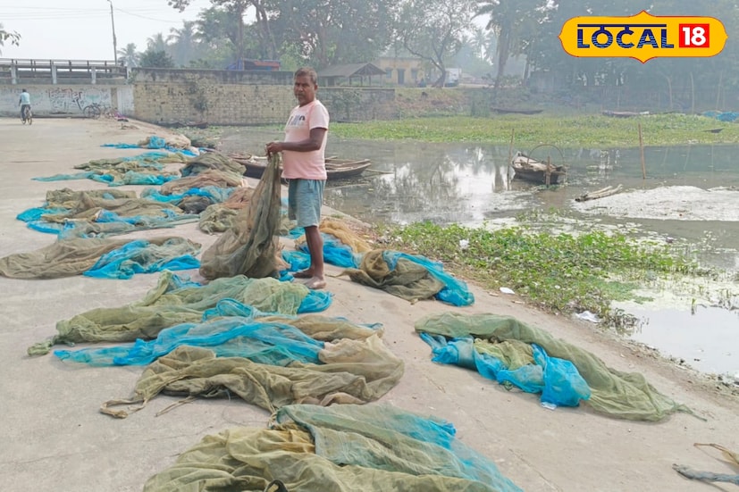 মৎস্যজীবীরা নানান জাল ব্যবহার করে ওই সমস্ত দেশীয় প্রজাতির মাছ ধরে আয় করেন৷ দেশীয় প্রজাতির মাছের চাহিদাও ব্যাপক রয়েছে৷ দুর্গাপুর দামোদর নদের পাশে প্রায় ৫ টি মাছের আড়ৎ রয়েছে। মৎস্যজীবীরা ওই সমস্ত রকমের মাছ আড়তদারকে বিক্রি করেন। আড়ৎ থেকে কলকাতা, শিলিগুড়ি সহ বেশ কয়েকটি জেলায় রফতানি হয়।( ছবি ও তথ্য: দীপিকা সরকার)