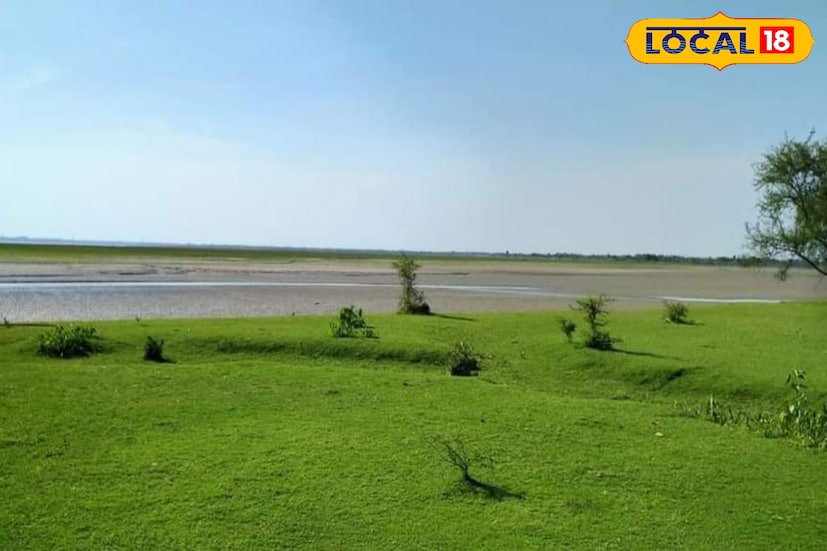 এখানে পৌঁছতে সহজ যোগাযোগ ব্যবস্থা রয়েছে। সড়ক পথে বাগানান পৌঁছে অথবা বাগনান রেল স্টেশন থেকে নেমে কয়েক মিনিটে অটো-টোটো চরে পৌঁছান যায় গন্তব্যে। শীতের আগে থেকে বর্ষার আগে পর্যন্ত মানুষের আনাগোনা থাকে। যত দিন গড়াচ্ছে তত বেশি মানুষের সঙ্গে পরিচিতি হচ্ছে এই স্থানের, ফলে দিন দিন বেনাপুর চরে ভিড় বাড়ছে মানুষের। (ছবি ও তথ্য: রাকেশ মাইতি)