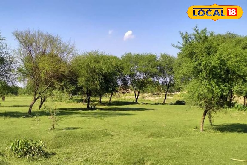 এই স্থানে একবার হাজির হলে বার বার ছুটে আসতে মন চাইবে। হাওড়া ও মেদিনীপুর দুই জেলার যুবক যুবতীদের ভিড় বেশি এখানে। এখানে সময় কাটানোর আদর্শ, দুপুর থেকে কয়েক ঘণ্টা। সারা দিনে এই সময় সব থেকে বেশি ভিড় থাকে। 