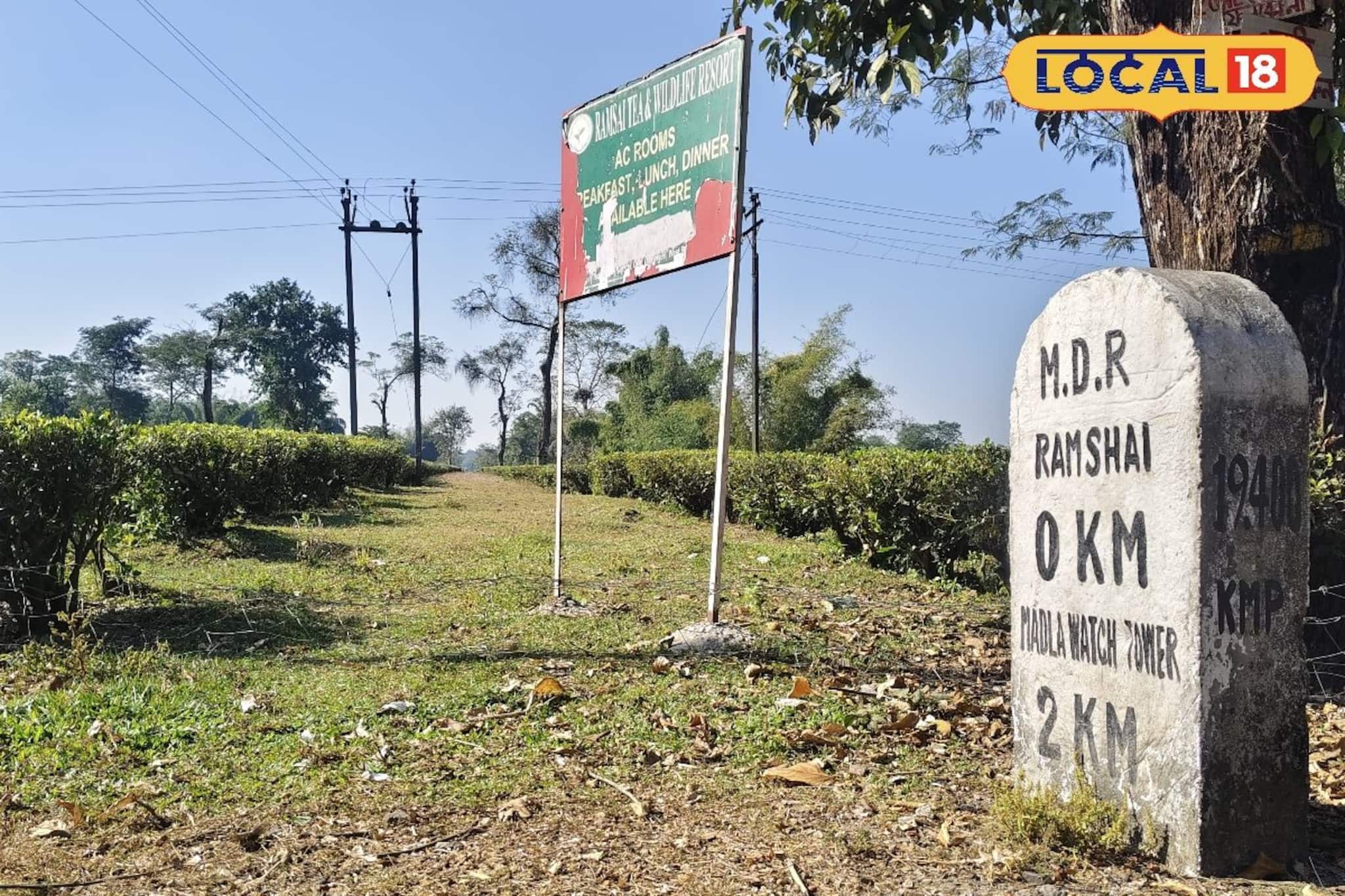 লাটাগুড়ি থেকে রামসাই ব্রিটিশ আমলের রেললাইন এখন হাতির করিডর! টয়ট্রেন চালানোর দাবি লাটাগুড়ি থেকে রামসাই ব্রিটিশ আমলের রেললাইন এখন হাতির করিডর! টয়ট্রেন চালানোর দাবি