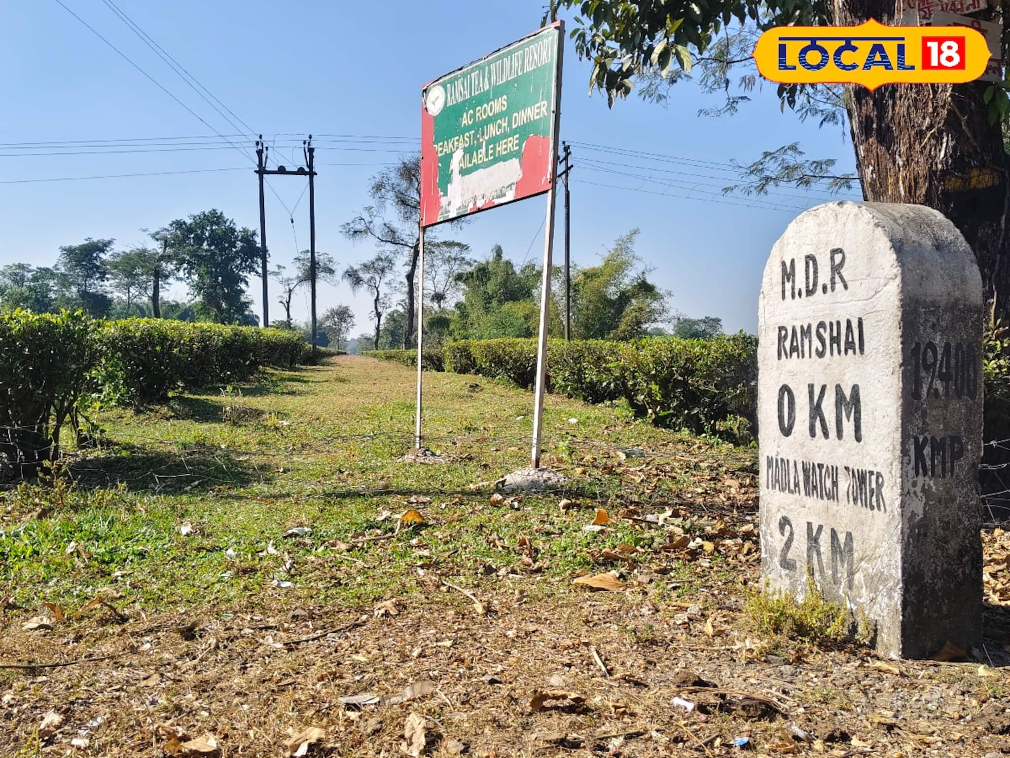 লাটাগুড়ি থেকে রামসাই ব্রিটিশ আমলের রেললাইন এখন হাতির করিডর! টয়ট্রেন চালানোর দাবি লাটাগুড়ি থেকে রামসাই ব্রিটিশ আমলের রেললাইন এখন হাতির করিডর! টয়ট্রেন চালানোর দাবি