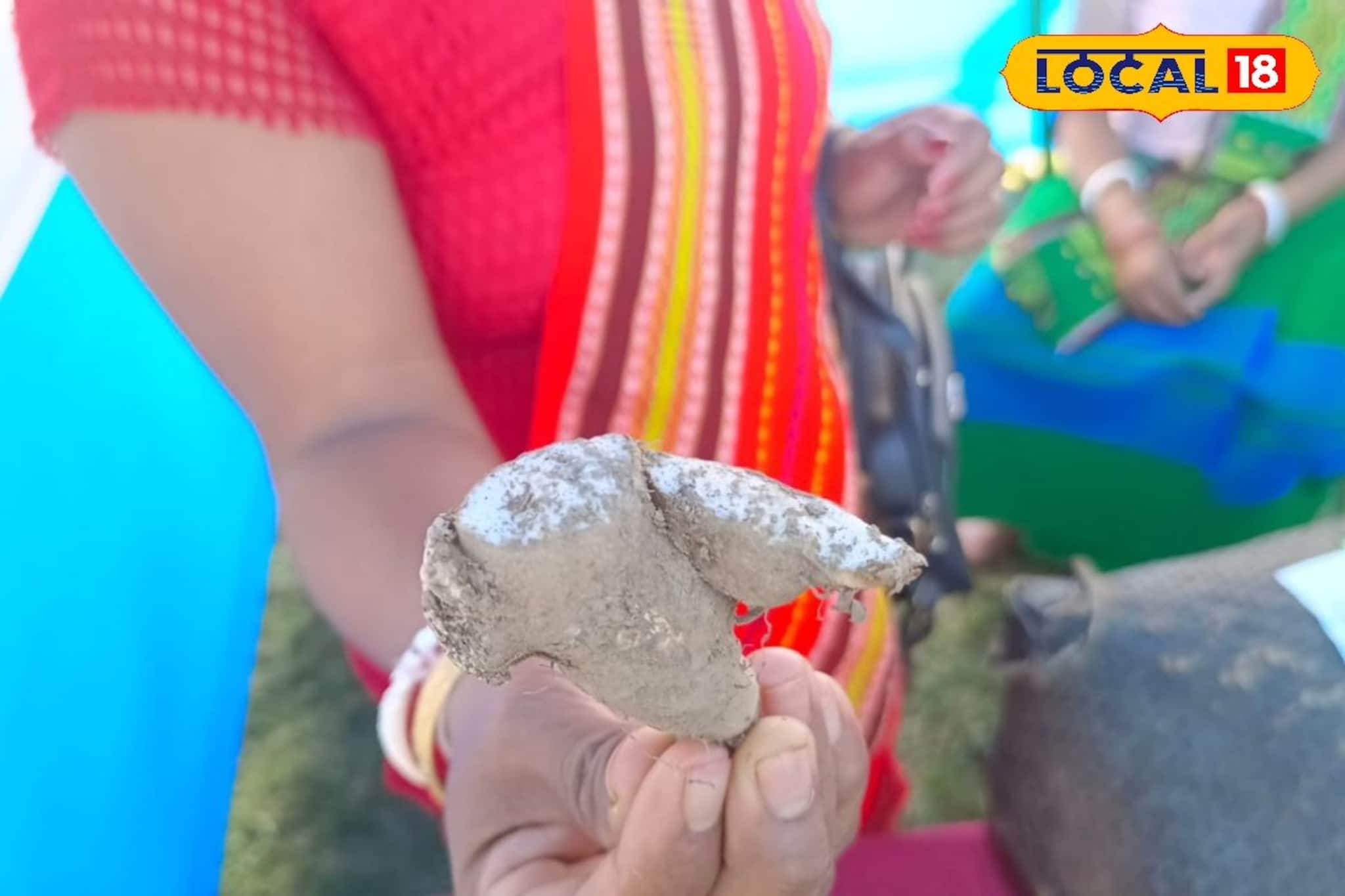 দেখতে ‘বিশ্রী’, জাতেরও নয়! ভিটামিন সি ও আয়রনে ঠাসা, এই আলু খাননি হলফ করে বলতে পারি দেখতে ‘বিশ্রী’, জাতেরও নয়! ভিটামিন সি ও আয়রনে ঠাসা, এই আলু খাননি হলফ করে বলতে পারি